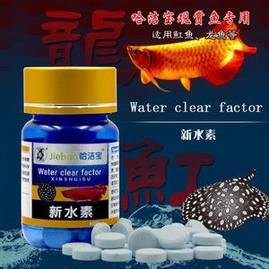 甲硝唑治龍魚什么病