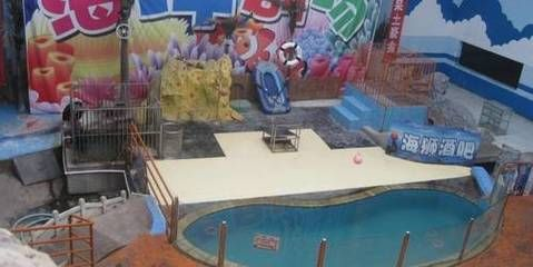 臨汾水族館vs祥龍魚(yú)場(chǎng)（臨汾水族館與祥龍魚(yú)場(chǎng)各有特色）