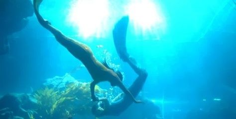 臨汾水族館vs祥龍魚(yú)場(chǎng)（臨汾水族館與祥龍魚(yú)場(chǎng)各有特色）