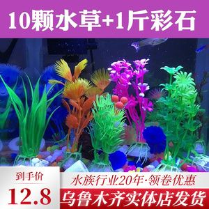 羅漢魚(yú)的飼養(yǎng)方法，羅漢魚(yú)、紅龍魚(yú)、紅龍魚(yú)、紅龍魚(yú)、紅龍魚(yú)、紅龍、紅龍