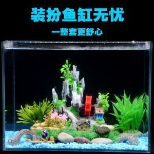 大梅家的魚缸里面都有什么物件呢：大梅家的魚缸是一個充滿生機和活力的地方