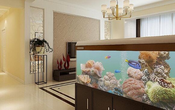 大型海水魚缸裝修效果圖：大型海水魚缸裝修效果圖大型海水魚缸在裝修中需要注意哪些方面？