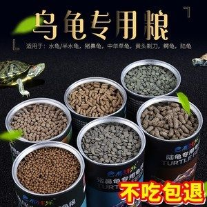 豬鼻龜2020年價格：豬鼻龜價格大概是多少