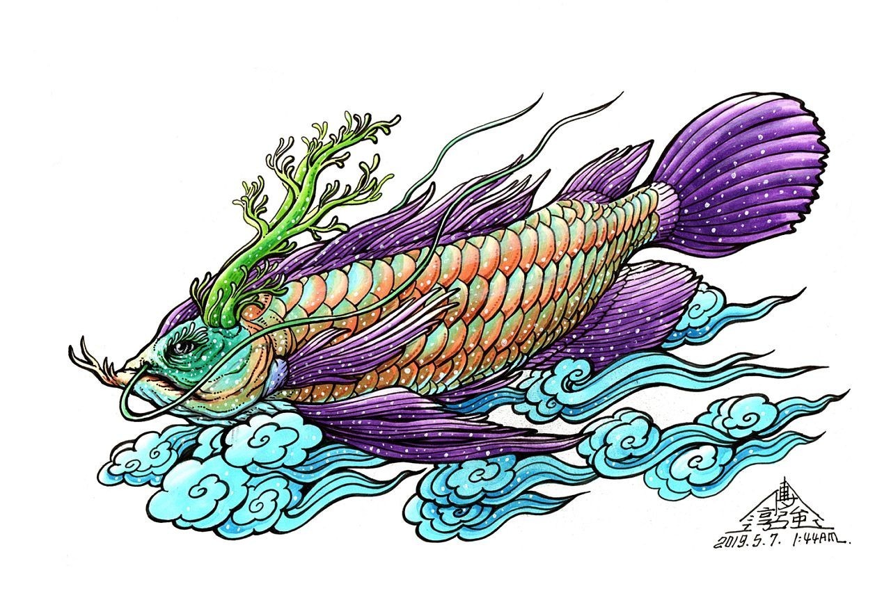 龍魚手繪，陳世中龍魚畫欣賞,彩色鉛筆龍魚繪制技巧詳解 龍魚手繪，陳世中龍魚畫欣賞,彩色鉛筆龍魚繪制技巧詳解 龍魚百科 第6張
