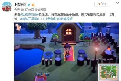 動森 魚缸 不見了：《動物森友會》游戲中遇到魚缸消失的問題和解決辦法