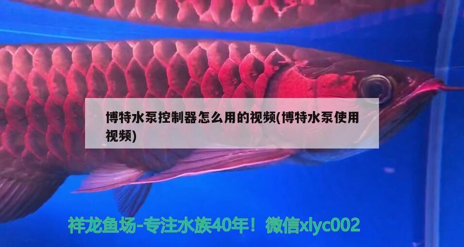 博特水泵控制器怎么用的視頻(博特水泵使用視頻)