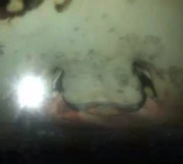 魟魚嘴巴發紅怎么回事：魟魚嘴巴發紅怎么回事[需手動填充]魚嘴巴發紅可能有以下幾個原因