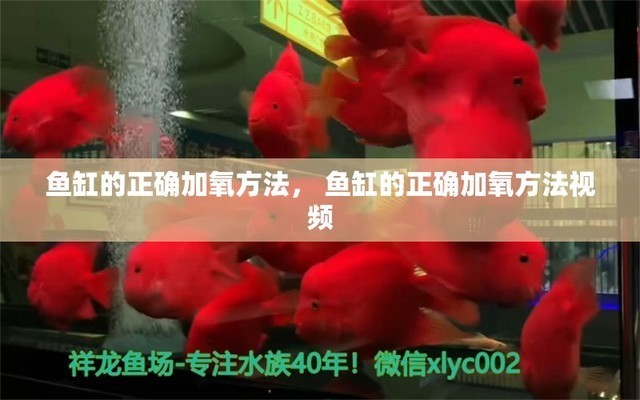 天津金晶魚缸廠怎么樣