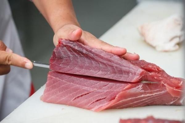 黑金魟魚孕期營養需求分析：孕期深海魚營養成分對比