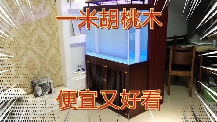1米長魚缸價格及圖片視頻：1米長魚缸價格、圖片和視頻的相關信息