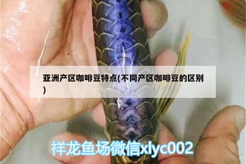 亞洲產(chǎn)區(qū)咖啡豆特點(不同產(chǎn)區(qū)咖啡豆的區(qū)別)