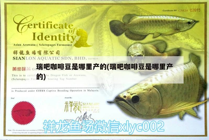 瑞吧咖啡豆是哪里產的(瑞吧咖啡豆是哪里產的)