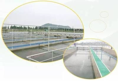 祥龍魚場有哪些特色龍魚做法？，祥龍魚場特色龍魚做法 祥龍魚場有哪些特色龍魚做法？，祥龍魚場特色龍魚做法 龍魚百科 第2張