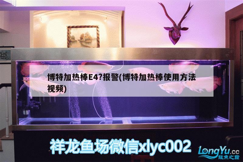 博特加熱棒E4?報警(博特加熱棒使用方法視頻)
