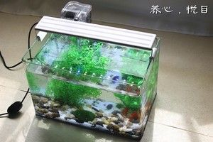 不用的小魚缸怎么處理掉：不用的小魚缸處理不用的小魚缸的方法有幾種處理方法
