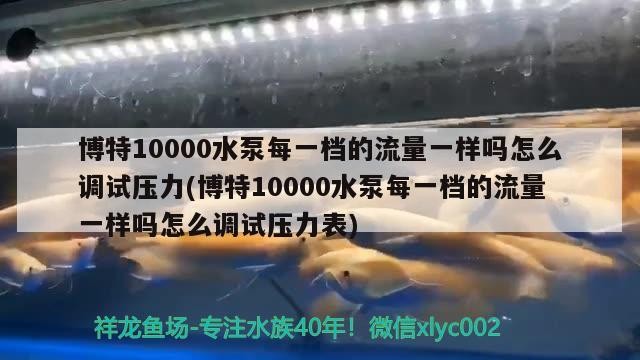 博特10000水泵每一檔的流量一樣嗎怎么調試壓力(博特10000水泵每一檔的流量一樣嗎怎么調試壓力表)
