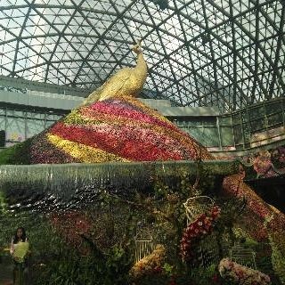 百色水族館vs祥龍魚(yú)場(chǎng)（百色水族館和祥龍魚(yú)場(chǎng)哪個(gè)好）