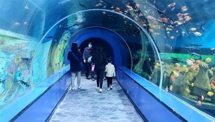 許昌水族館vs祥龍魚場（許昌水族館與祥龍魚場各有側重）