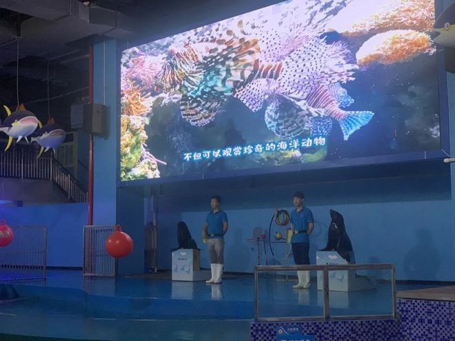 許昌水族館vs祥龍魚場（許昌水族館與祥龍魚場各有側重）