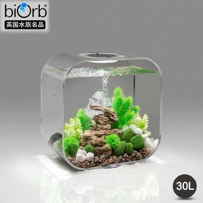8mm的玻璃能做多大的魚缸用：如何自制魚缸自制魚缸玻璃的選擇和注意事項