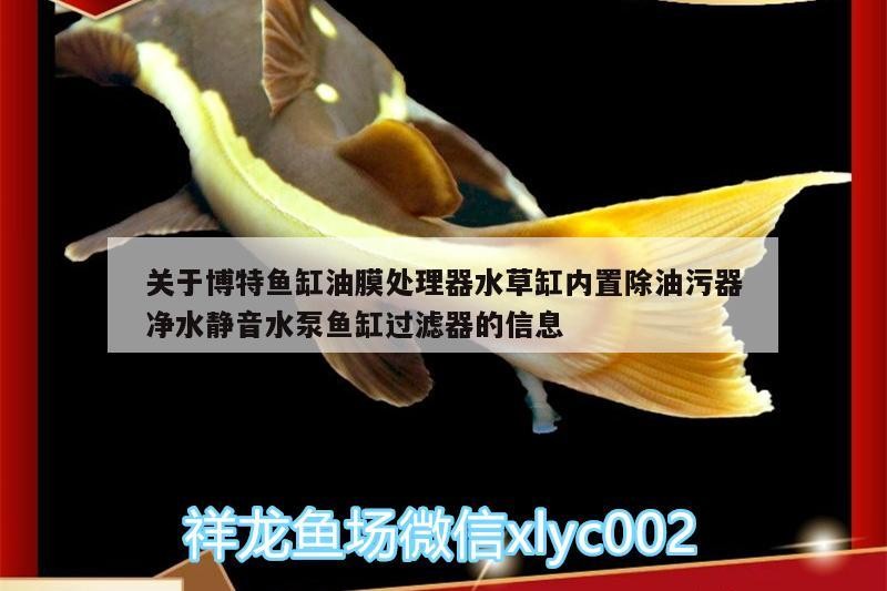 關于博特魚缸油膜處理器水草缸內置除油污器凈水靜音水泵魚缸過濾器的信息