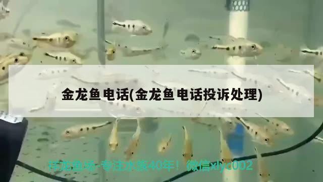 重慶艾博特科技有限公司怎么樣（重慶艾博特科技有限公司怎么樣工資待遇如何）