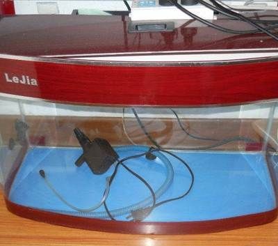 朔州龍魚水族店，朔州地攤魚訂餐電話對應的相關信息
