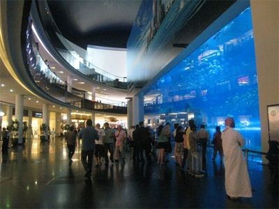楊凌水族館vs祥龍魚場（探討楊凌水族館與祥龍魚場之間的差異之前需要明確兩者的基本信息）