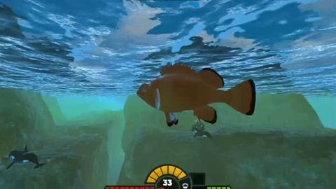 家里養紅龍魚吉利嗎：紅龍魚選購注意事項 家里養紅龍魚吉利嗎：紅龍魚選購注意事項 紅龍魚百科 第5張