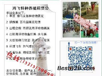 固原水族館vs祥龍魚場(全球首個獲得國際龍魚繁殖證書的魚場之一固原水族館) 全國水族館企業名錄 第2張 固原水族館vs祥龍魚場(全球首個獲得國際龍魚繁殖證書的魚場之一固原水族館) 固原水族館vs祥龍魚場(全球首個獲得國際龍魚繁殖證書的魚場之一固原水族館) 全國水族館企業名錄 第2張