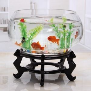 半圓小魚缸：半圓小魚缸使用時需要注意避免直接接觸亞克力樹脂