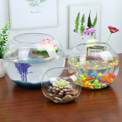 玻璃魚缸改造花盆：如何將玻璃魚缸改造成魚缸？