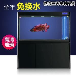 超白魚缸改底濾：超白魚缸改底濾是一種常見的水族箱改造方式可以有效節省空間