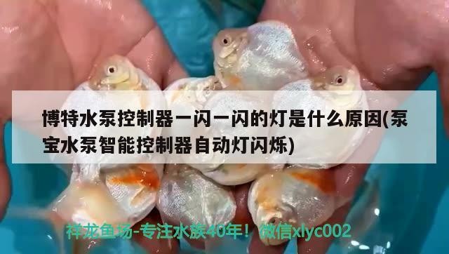 博特水泵控制器一閃一閃的燈是什么原因(泵寶水泵智能控制器自動燈閃爍) 博特水泵控制器一閃一閃的燈是什么原因(泵寶水泵智能控制器自動燈閃爍) 博特水族