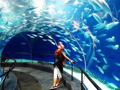 新鄉水族館vs祥龍魚場(探討新鄉水族館與祥龍魚場之間的差異之前需要明確兩者的基本信息)