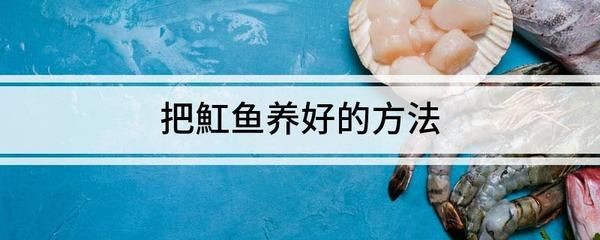 15公分魟魚每天吃多少：15公分大小的魟魚每天需要吃多少？