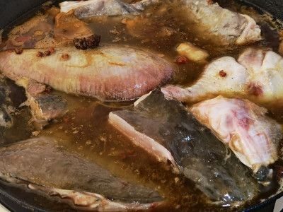 15公分魟魚每天吃多少：15公分大小的魟魚每天需要吃多少？