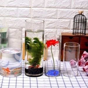 玻璃魚缸可以養花嗎：玻璃魚缸可以用來養花嗎
