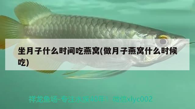 <strong><mark>宿州</mark></strong>市埇橋區深藍水族魚缸店