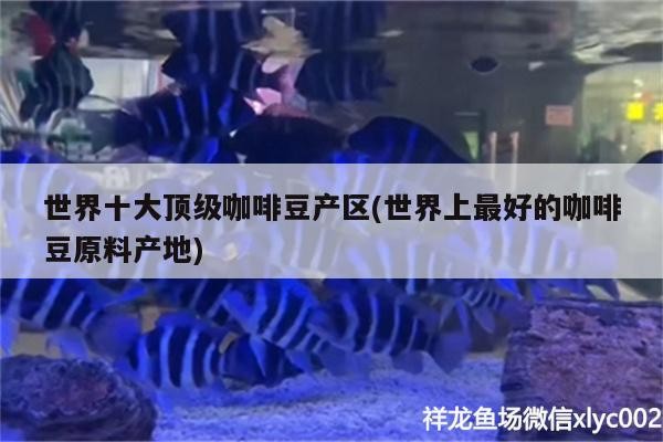 世界十大頂級咖啡豆產區(世界上最好的咖啡豆原料產地)