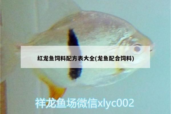 龍魚(yú)飼料配方表vs祥龍魚(yú)場(chǎng)：祥龍魚(yú)場(chǎng)龍魚(yú)飼料配方表
