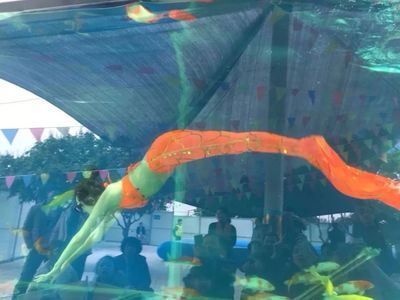 汕頭水族館vs祥龍魚場（汕頭水族館與祥龍魚場各有其特點和優勢）