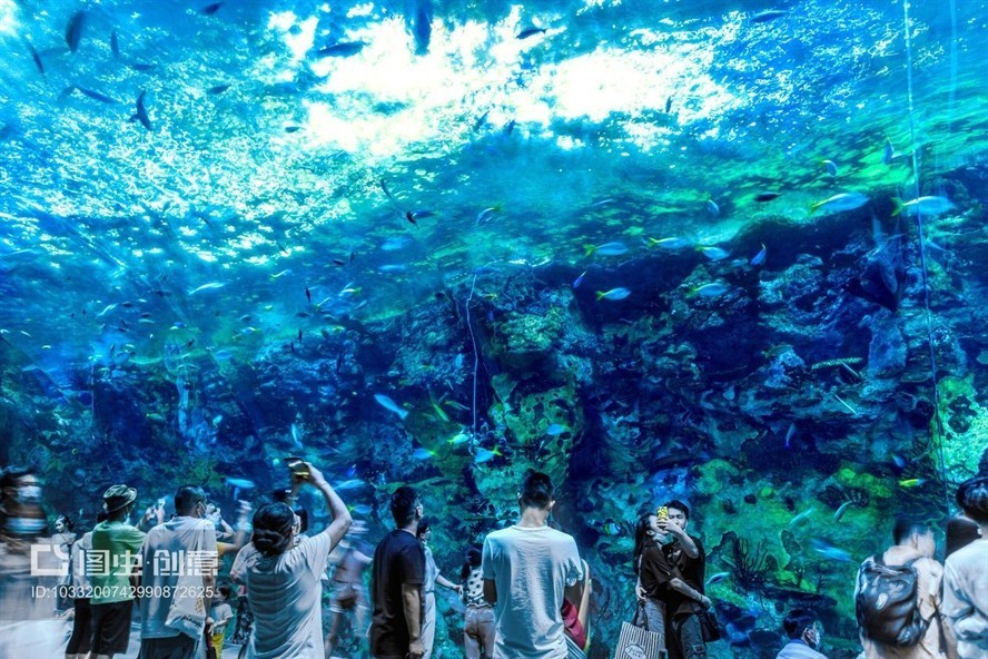珠海水族館vs祥龍魚場（探討珠海水族館與祥龍魚場之間的差異）