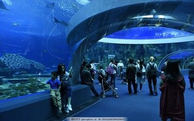 珠海水族館vs祥龍魚場（探討珠海水族館與祥龍魚場之間的差異）