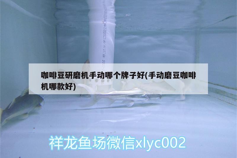 咖啡豆研磨機手動哪個牌子好(手動磨豆咖啡機哪款好) 咖啡豆研磨機手動哪個牌子好(手動磨豆咖啡機哪款好) 馬來西亞咖啡