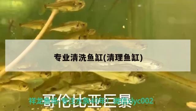 釣鯰魚用什么漂怎么調漂
