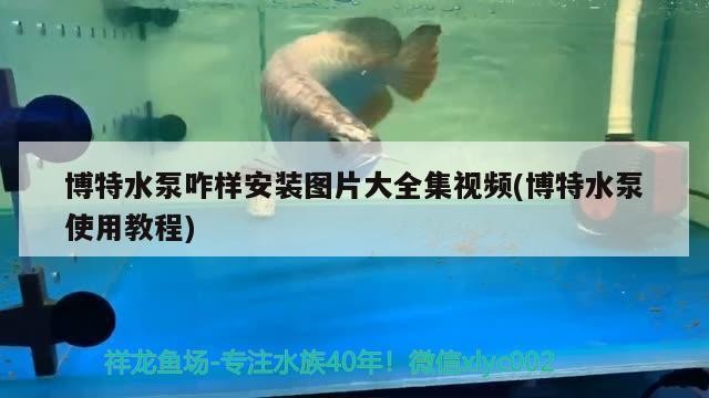 博特水泵咋樣安裝圖片大全集視頻(博特水泵使用教程)