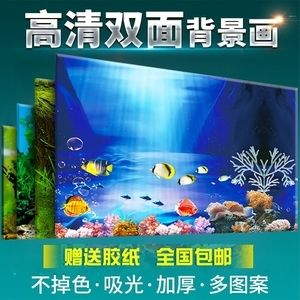 大魚魚缸造景圖案設(shè)計(jì)：大魚魚缸造景圖案設(shè)計(jì)是一項(xiàng)細(xì)致且富有創(chuàng)造力的工作