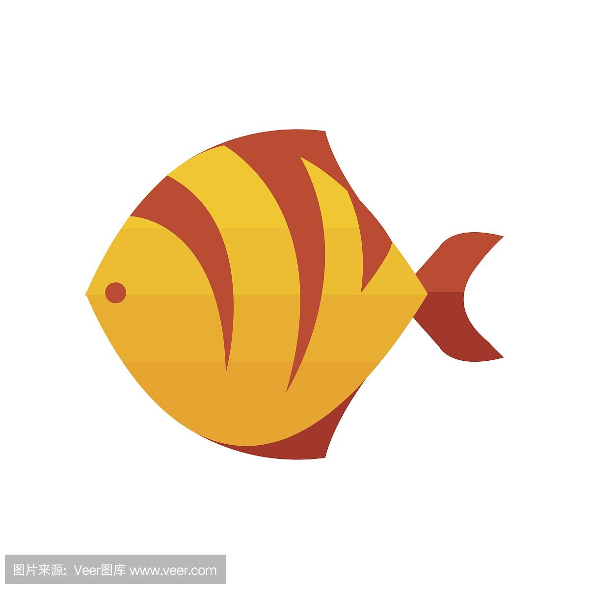 虎魚背景圖案：關于虎魚背景圖案的相關信息 虎魚背景圖案：關于虎魚背景圖案的相關信息 虎魚百科 第1張