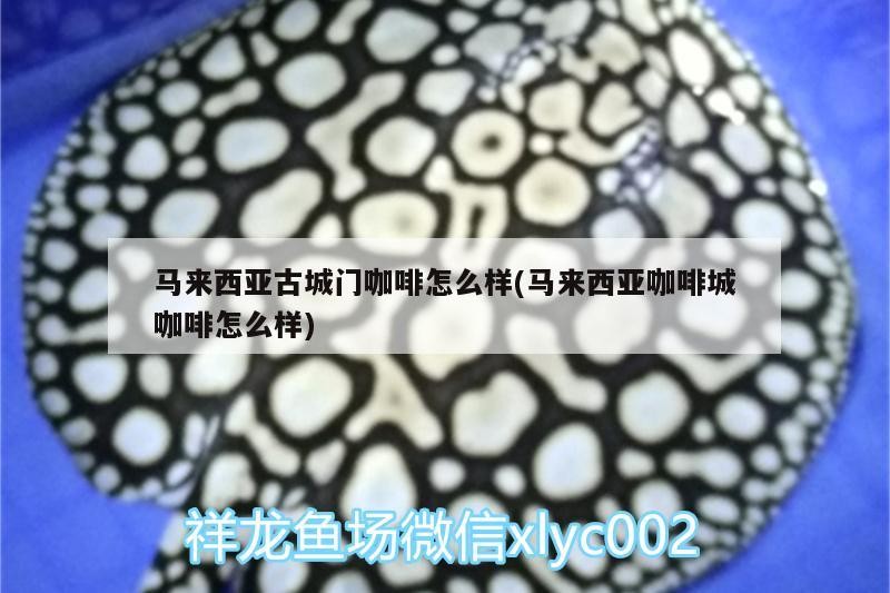 馬來西亞古城門咖啡怎么樣(馬來西亞咖啡城咖啡怎么樣) 馬來西亞古城門咖啡怎么樣(馬來西亞咖啡城咖啡怎么樣) 馬來西亞咖啡